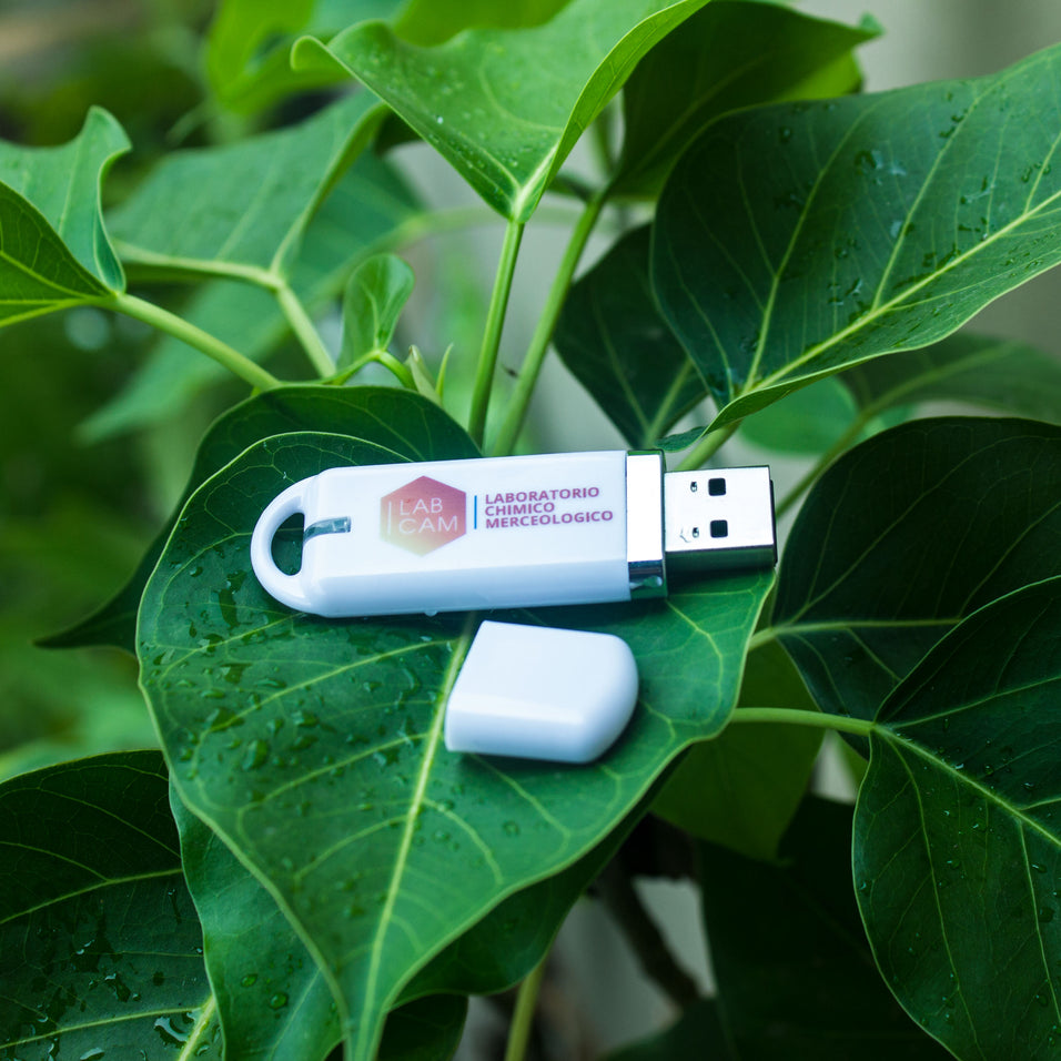 customized corporate color printed plastic body pen drive usb flash drive
